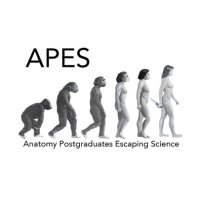 APES (@apes_monash) Twitter profile photo