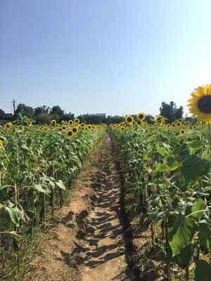 water811031's profile picture. 