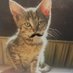 you (@you01547729) Twitter profile photo you (@you01547729) Twitter profile photo