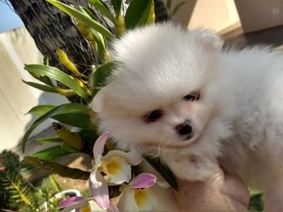 CecliaGalvoGal1's profile picture. o cuidado o carinho e o respeito que tenho por pessoas e animais me torna especial