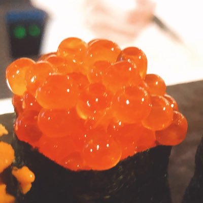 久々のツイッター。リハビリ感覚でゆっくり活動。いくらを愛してやみません。1998年生まれ