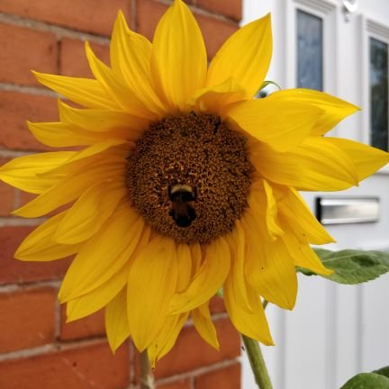 22jerusha's profile picture. 