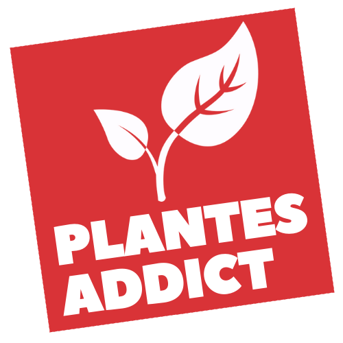 Si tu aimes les plantes et la nature alors on à ce qu'il te faut. Plantes addict c'est des conseils et des prix bas.