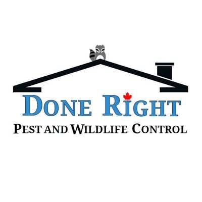 Done Right Pest and Wildlife Control specializes in the control and removal of all pests and wildlife. #HAMILTON #HAMOnt #HamiltonOntario
