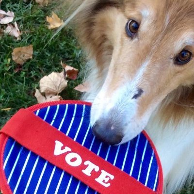 Dog peeps, let's unleash democracy! Join us in getting friends & neighbors registered to vote at https://t.co/TuEMDk0hkZ.