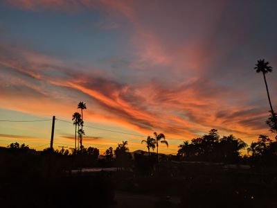 DavidRi25860212's profile picture. Health sciences professor. Enjoy all things nature and weather!