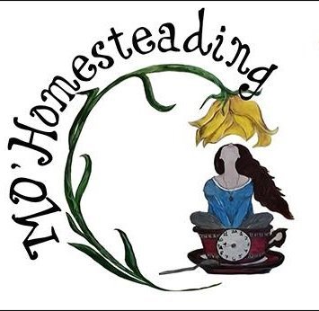 Youtube Creator & Artist -Homesteading and More - Gardening - Farm Animals - Recipes - Art https://t.co/4HLOsxjUuJ