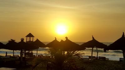 Rico47886117's profile picture. love, Peace And Unity🌍🇬🇲