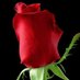 Kritika Sharma (@kritika90748952) Twitter profile photo Kritika Sharma (@kritika90748952) Twitter profile photo