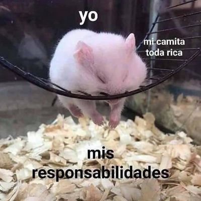 AF57904434's profile picture. 