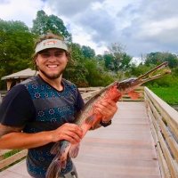 brycephilips (@brycephilips) 's Twitter Profile