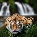 Eric Snow - @EricSnow143 - Twitter