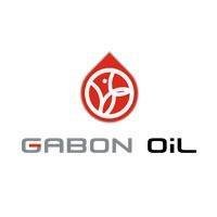 Gabon Oil Company (GOC) est  en charge de la Gestion des intérêts de l’Etat #Gabonais dans le secteur des hydrocarbures