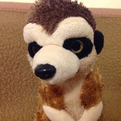 alpha_murmel's profile picture. 