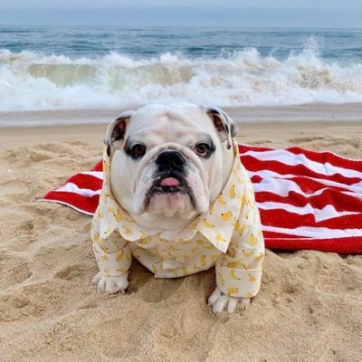 sponde25's profile picture. Doctoral candidate at Probabilistic Machine Learning group, Aalto University. Views are my own. He/Him