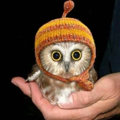 Yksel07894742's profile picture. Anlamak