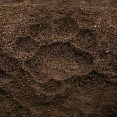 Cryptolearner10's profile picture. smashing it