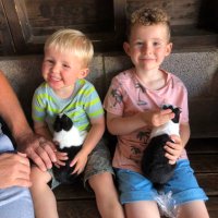 Sarah Stead (@sarahstead12) 's Twitter Profile