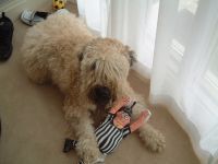 lisa_thompson's profile picture. To know Lloyd Dobler is to love him