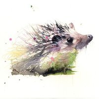 Hedgehogs @ Burton Green Primary School(@BG_Hedgehogs) 's Twitter Profile Photo