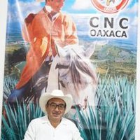 Amando Bohórquez (@amandobohrquez3) 's Twitter Profile