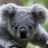 _Chin_Chin's profile image