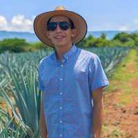 Rafael Lopez (@trilli_rla) 's Twitter Profile