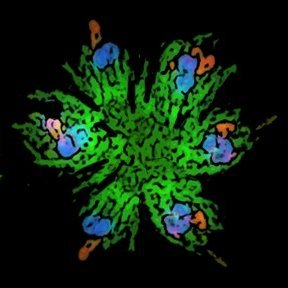 The Wignall Lab Profile