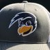 Linn-Benton Mens Basketball (@roadrunnersmbx) Twitter profile photo Linn-Benton Mens Basketball (@roadrunnersmbx) Twitter profile photo