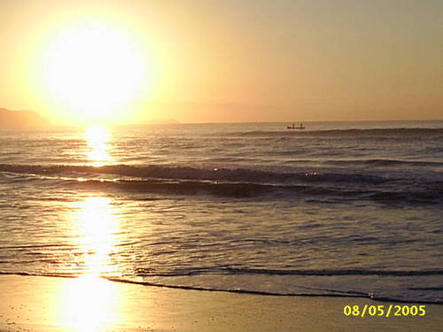 manliro's profile picture. 