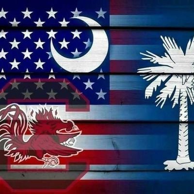 GAMECOCKFAN843's profile picture. 