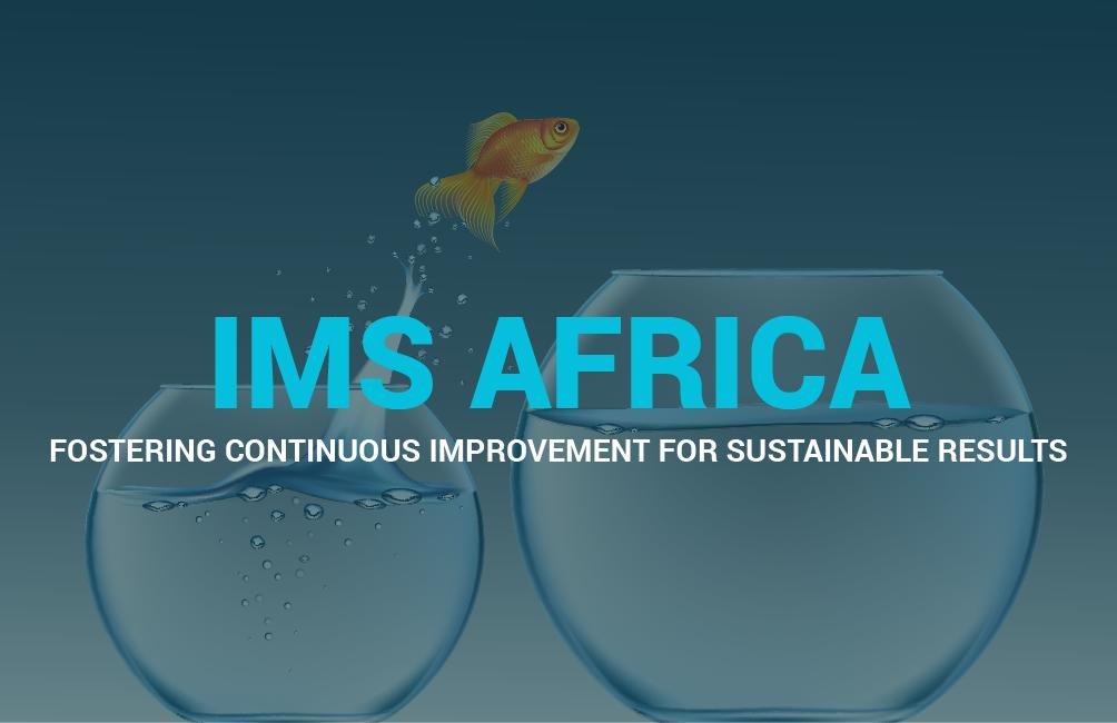 IMS Africa Ltd believes in high standards of excellence  achievable through sustainable practices. We Champion Continuous Improvement for Sustainable Results