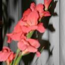 Catherine Dempsey - @catd123 - Twitter