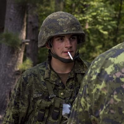 DSCwhite's profile picture. 