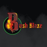 Bush Blaze 420 Headshop(@BushBlaze420) 's Twitter Profile Photo