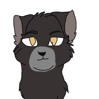 Cedarheart1's profile picture. Hi. I'm Gay Cedarheart.