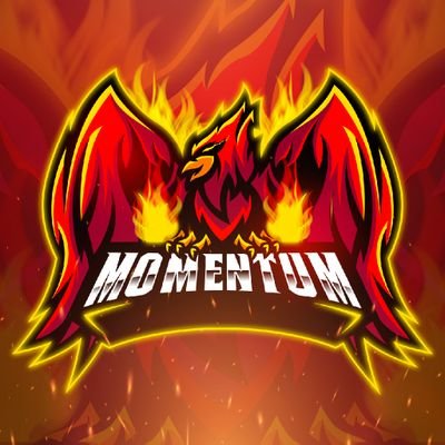 Official Twitter Esport team Momentum:
B L A M E x 67
Archon Assasin
BadBradGuy5
Clutchcolbs
NoTime x l3l
King_formless
Hypad-
AAli x 21