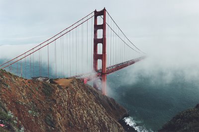 BayTransparency's profile picture. 