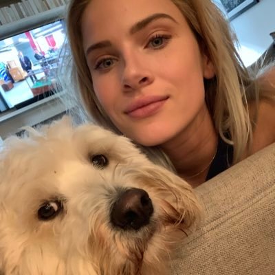 devroper's profile picture. Bama 🏈 Grizzlies 🏀 Roman 🐶