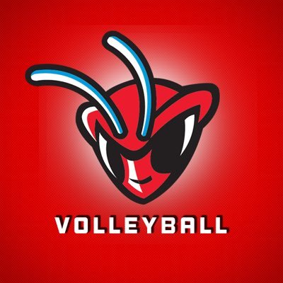 The official Twitter account of the Delaware State University volleyball team. #DSUvb #makeaSTATEment #StingEm
