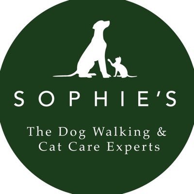 Taking the lead in Dog Walking, Puppy Home Visits & Cat Home Visits in and around the New Forest. See New Forest Dog Holidays for VIP dog home boarding.