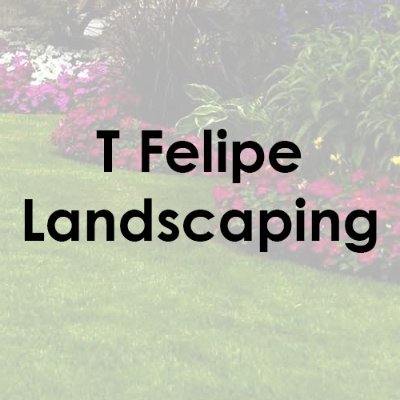 TFelipeLandscp's profile picture. For all your Landscaping, Lawn Maintenance, Tree Service, Tree Pruning, Maintenance & New Installation, don’t hesitate to call T Felipe Landscaping
