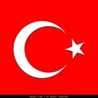 gurolyer (@gurolyer) Twitter profile photo