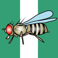 QueenR (@droso4nigeria) 's Twitter Profile