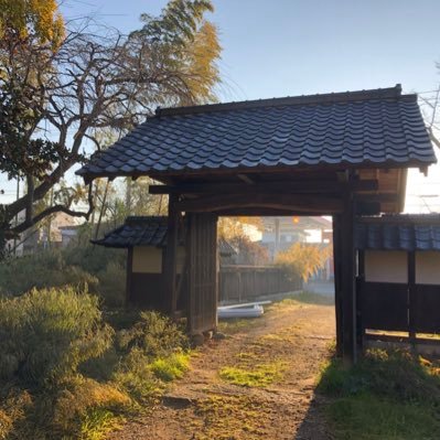 茨城県でかなり旨めの干し芋を作って販売しています。自家栽培紅はるか使用の完全天日干し。江戸時代に建立された古民家で夫婦+甲斐犬2匹仔猫1匹と生活しながら、撮影スタジオ業も営んでおります。インスタはhttps://t.co/wcXfbKvEsa