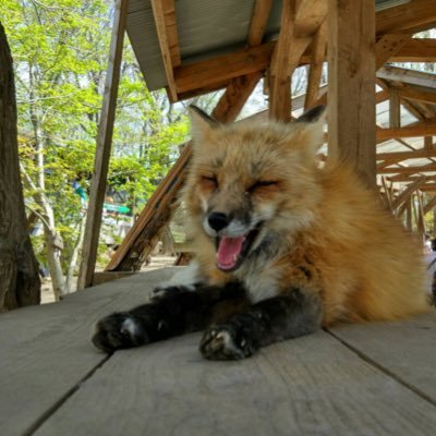 kazusaさんのプロフィール画像