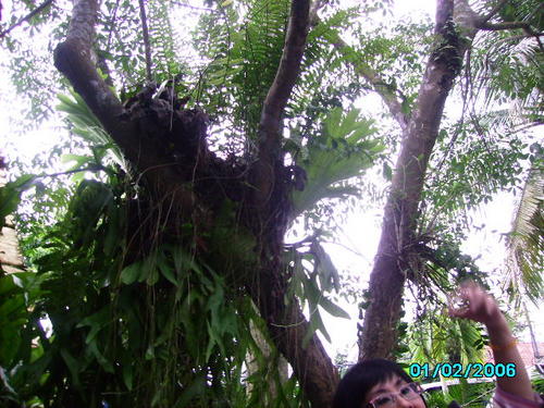 Eric740's profile picture. Hi, I'm a father with 3 kids & like to travel around the world but always not enough to spent.