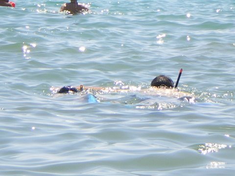 sanchezdcampa's profile picture. 