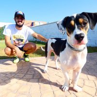 Alberto del Río Fdez (@albertodrf) 's Twitter Profile