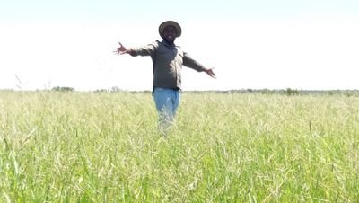 mpele_lesedi's profile picture. 💪RURAL YOUTH DEVELOPMENT
♥️ COUNTRY LIFE
💰FOCUSED
📷BLESSED
⚠LIVING LIFE
😍FARMING

::

Accept no one's definition of your life; define yourself...